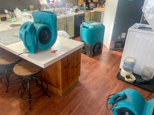 Best Water damage contractors near me  in St Louis, MI