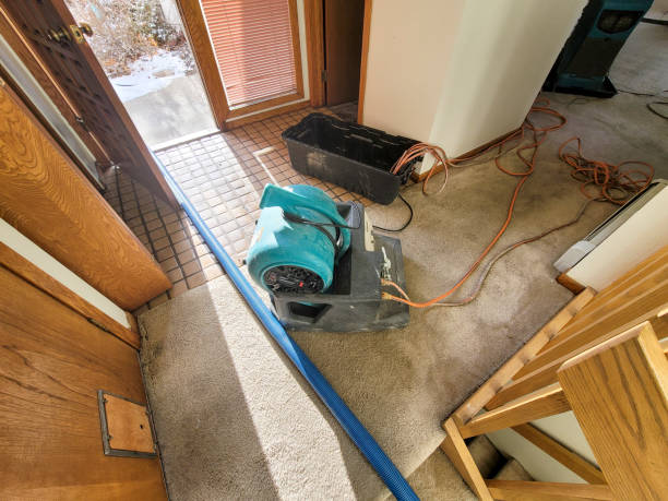 Best Carpet water damage restoration  in St Louis, MI