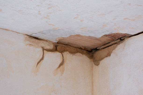 Best Residential water damage restoration  in St Louis, MI