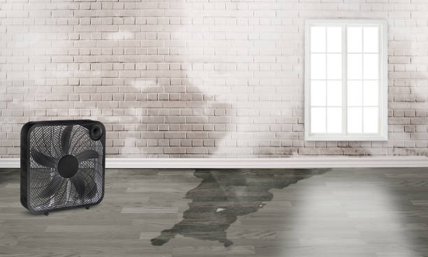 Reliable St Louis, MI Water damage restoration Solutions