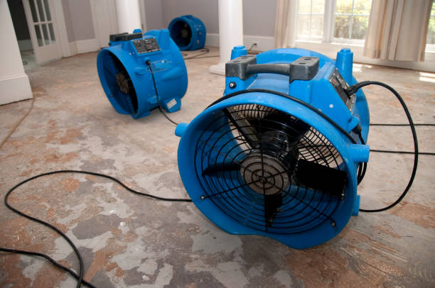 Best Water damage contractors near me  in St Louis, MI