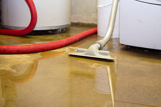 Best Sewage cleanup and water damage restoration  in St Louis, MI