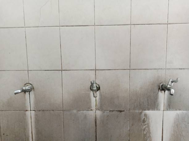 Best Water damage restoration near me  in St Louis, MI