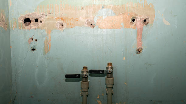 Best Fire Damage Restoration  in St Louis, MI