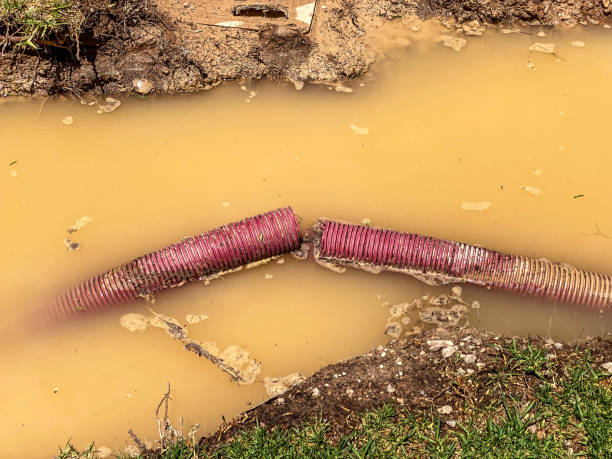 Best 24/7 water damage repair  in St Louis, MI