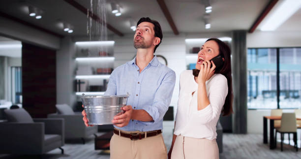 Best Flood damage cleanup  in St Louis, MI