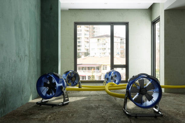 Best Commercial water damage restoration  in St Louis, MI